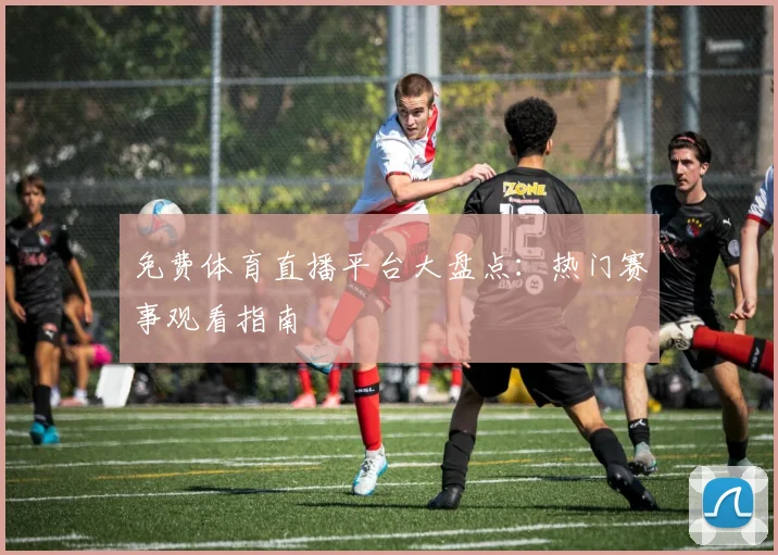 免费体育直播平台大盘点：热门赛事观看指南